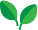 Spinach Icon
